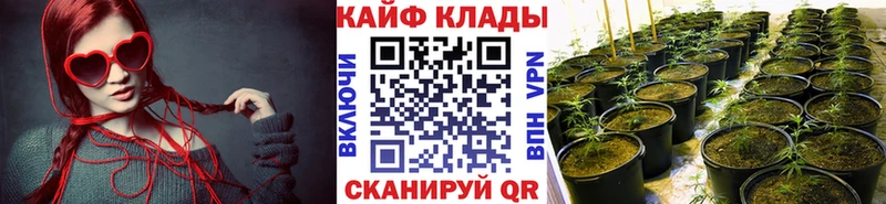 Виды наркоты Дрезна Альфа ПВП  Бошки Шишки  COCAIN  Меф  АМФ  мега как войти  ГАШИШ 