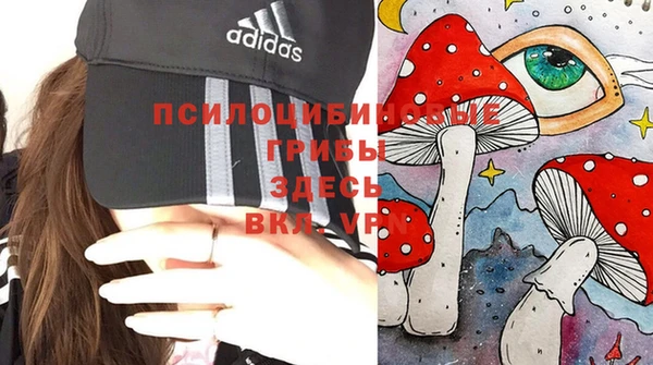 эйфоретик Майский
